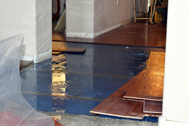 Professional Sewage Cleanup technician working in Westport, CT